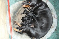 /album/stenata-2012/p1010261-jpg/