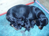 /album/stenata-2012/p1010262-jpg/