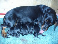 /album/stenata-2012/p1010263-jpg/