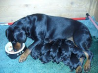 /album/stenata-2012/p1010268-jpg/