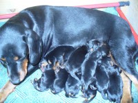 /album/stenata-2012/p1010271-jpg/