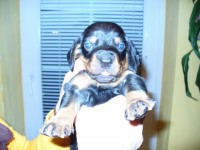 /album/stenata-2012/p1010301-jpg/