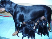 /album/stenata-2012/p1010302-jpg/