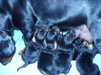 /album/stenata-2012/p1010306-jpg/