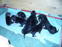 /album/stenata-2012/p1010308-jpg/