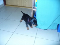 /album/stenata-2012/p1010349-jpg/