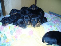 /album/stenata-2012/p1010364v-jpeg/