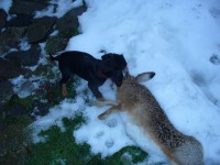 /album/stenata-2012/p1010378-jpg/