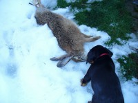 /album/stenata-2012/p1010379-jpg/