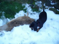 /album/stenata-2012/p1010381-jpg/