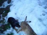 /album/stenata-2012/p1010383-jpg/